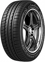 Фото №2 Шина BELSHINA Artmotion 205 / 55 / R16 H 91