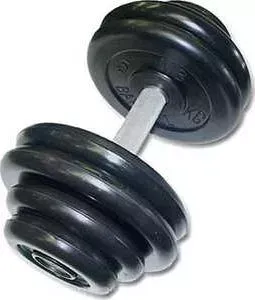 Гантель MB Barbell профессиональная "Профи" черная 18.5 кг