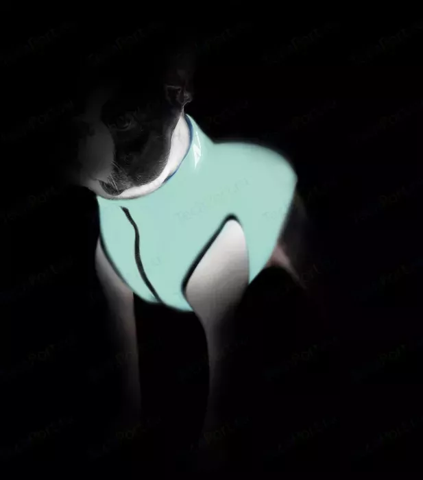 Фото №1 Курточка CoLLaR AiryVest Lumi двухсторонняя светящаяся салатово-голубая размер размер S 40 для собак (2248)