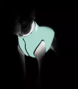 Фото №5 Курточка CoLLaR AiryVest Lumi двухсторонняя светящаяся салатово-голубая размер размер S 40 для собак (2248)