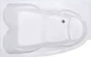 Фото №3 Акриловая ванна Royal Bath Shakespeare 170x110 с каркасом, левая (RB652100K-L)