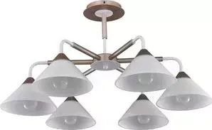 Фото №1 Потолочная люстра Arti Lampadari Ribera E 1.1.6 CW