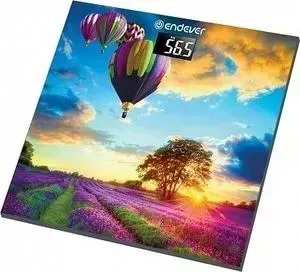Весы напольные ENDEVER Aurora-551