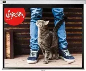Экран для проектора SAKURA 266x150 Wallscreen 16:9 настенно-потолочный 120"